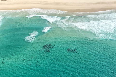 Coastal Helicopter Shared Flight - 20 Minutes - Darwin Tourism 4