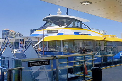 Brisbane City Essentials Walking Tour - Darwin Tourism 3