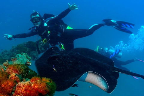 Scuba Dive The S.S. Yongala Wreck On The Great Barrier Reef. - Darwin Tourism 0