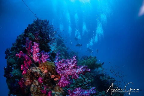 Scuba Dive The S.S. Yongala Wreck On The Great Barrier Reef. - Darwin Tourism 2