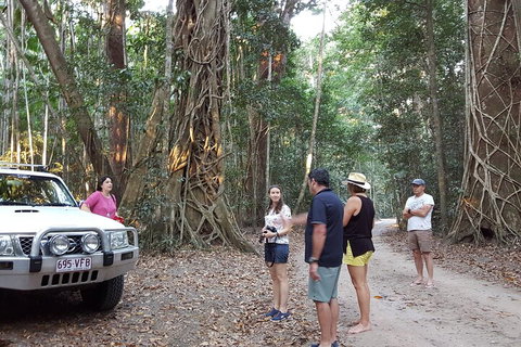 Great Beach Drive 4WD Tour - Private Charter From Noosa To Rainbow Beach - Darwin Tourism 1